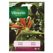 Strelicja Vilmorin