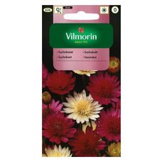 Suchokwiat 1g Vilmorin