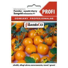 Pomidor Sungold F1 Profi