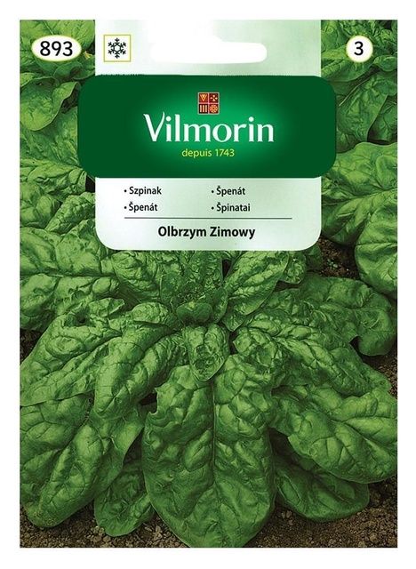 Szpinak Olbrzym Zimowy 20g Vilmorin