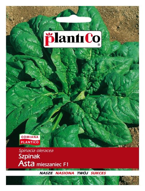 Szpinak ASTA mieszaniec F1 10g PlantiCo