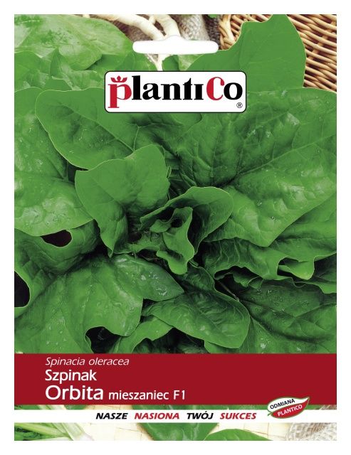 Szpinak ORBITA mieszaniec F1 10g PlantiCo