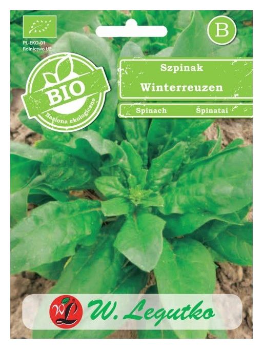 Szpinak Winterreuzen BIO 10g Legutko