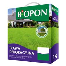 Trawa dekoracyjna Bopon