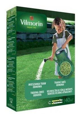 Trawa Odnowa 1 kg Vilmorin