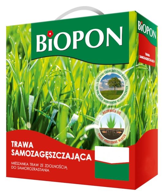 Trawa samozagęszczająca Bopon