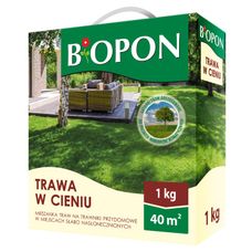 Trawa w cieniu Bopon