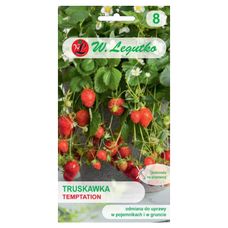 Truskawka Temptation 0,03g Legutko