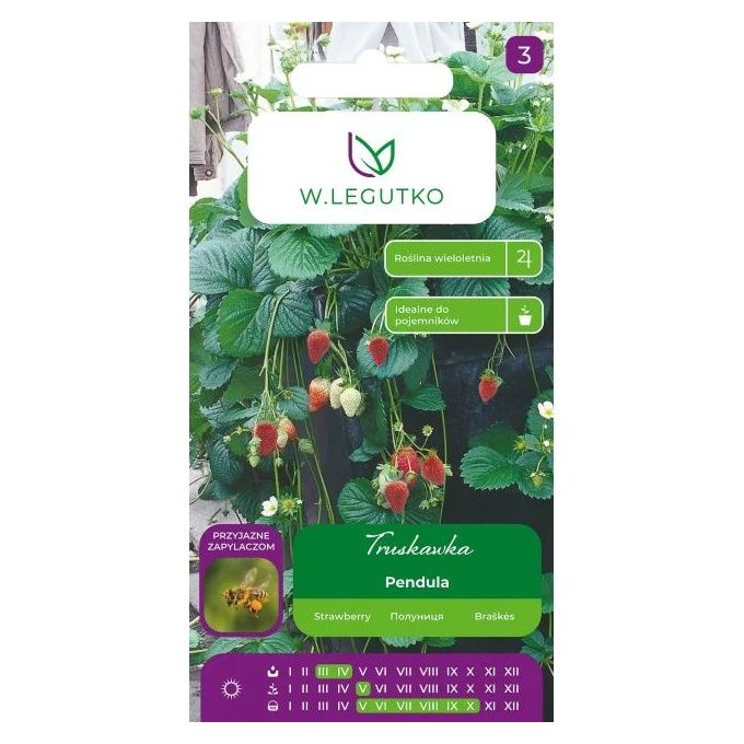 Truskawka Pendula czerwona 0,01g Legutko