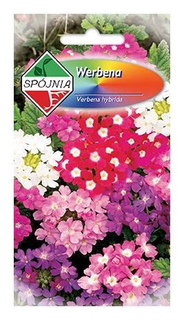 Werbena ogrodowa 0,5g Spójnia