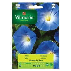 Wilec niebieski Heavenly Blue Vilmorin