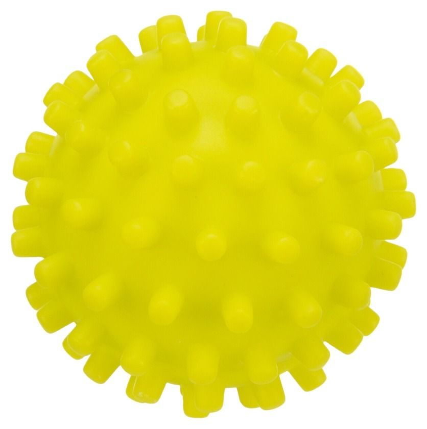 Zabawka piłka jeżowa dla psa fi 10 cm 3429 Trixie