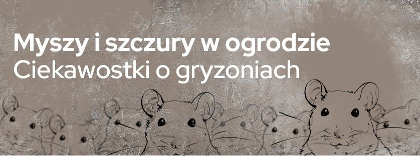 Szczury i myszy w ogrodzie - Sklepogrodniczy.pl