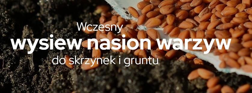 Wczesny wysiew nasion warzyw do skrzynek i gruntu | Blog Sklepogrodniczy.pl