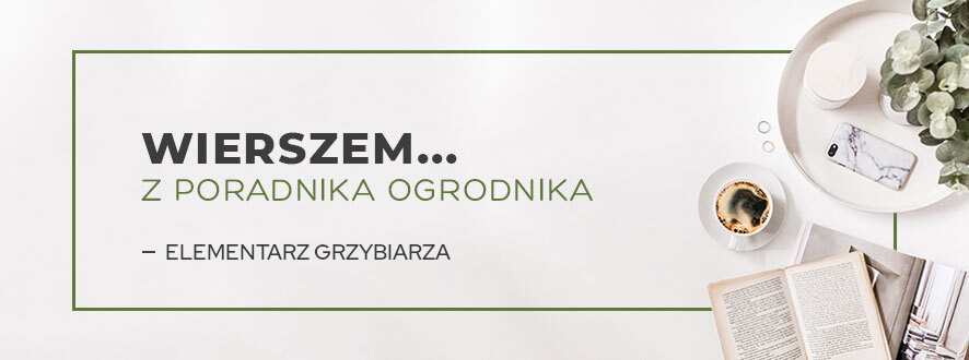 Z poradnika ogrodnika...Elementarz grzybiarza | Blog Sklepogrodniczy.pl