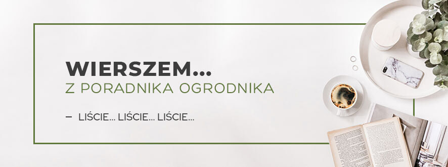 Z poradnika ogrodnika... Liście… liście… liście… | Blog Sklepogrodniczy.pl