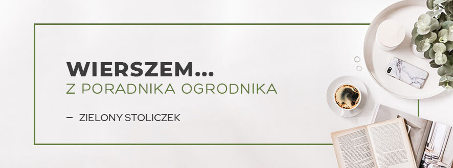 Z poradnika ogrodnika... Zielony stoliczek | Blog Sklepogrodniczy.pl