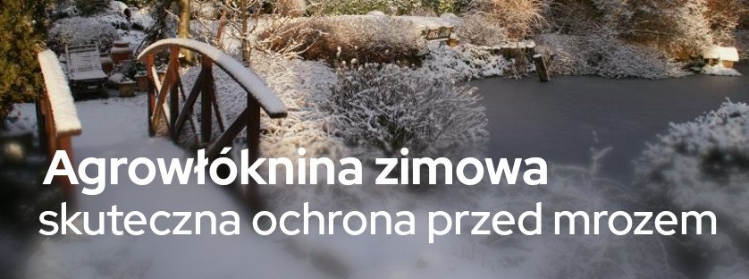 Agrowłóknina zimowa skuteczna ochrona przed mrozem! | Blog Sklepogrodniczy.pl
