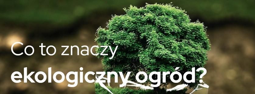 Co to znaczy ekologiczny ogród? | Blog Sklepogrodniczy.pl