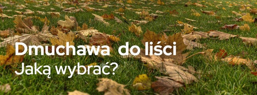Dmuchawa do liści – jaką wybrać? | Blog Sklepogrodniczy.pl 