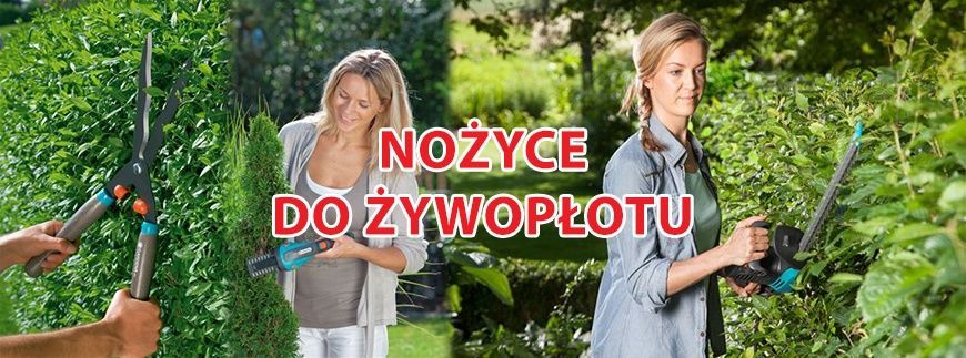 Jak wybrać dobre nożyce do żywopłotu?