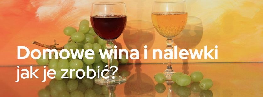 Domowe wina i nalewki – jak je zrobić? | Blog Sklepogrodniczy.pl