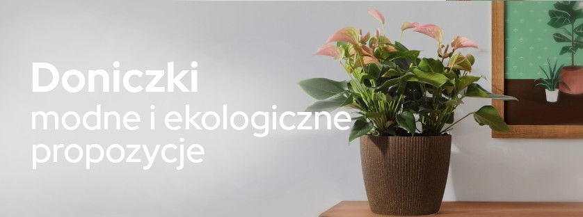 Doniczki - modne i ekologiczne propozycje | Blog Sklepogrodniczy.pl