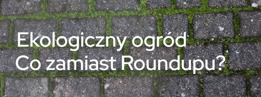 Ekologiczny ogród - co zamiast roundupu? | Blog Sklepogrodniczy.pl