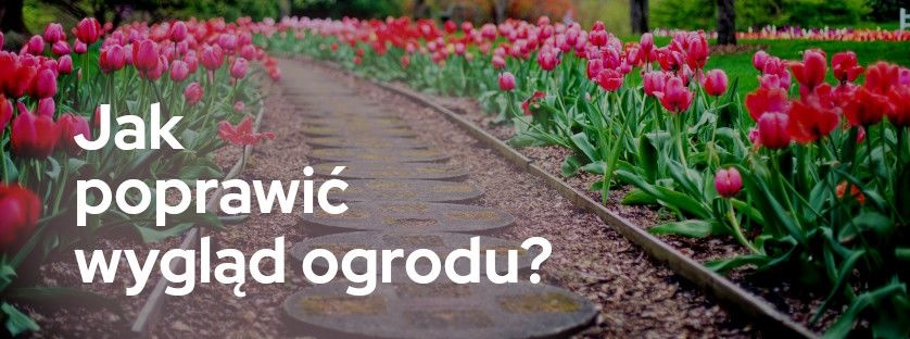 Jak poprawić wygląd ogrodu?  | Blog Sklepogrodniczy.pl