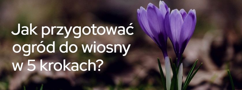 Jak przygotować ogród do wiosny? |  Blog Sklepogrodniczy.pl 