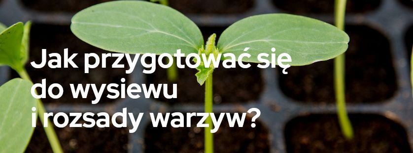 Jak przygotować się do wysiewu i rozsady warzyw? | Blog Sklepogrodniczy.pl