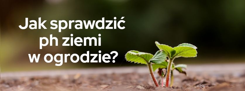 Jak sprawdzić  ph ziemi w ogrodzie? | Blog Sklepogrodniczy.pl