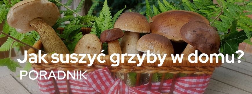 Jak suszyć grzyby w domu? Poradnik | Blog Sklepogrodniczy.pl