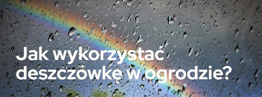 ​Jak wykorzystać deszczówkę w ogrodzie?| Blog Sklepogrodniczy.pl 