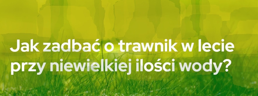 Jak zadbać o trawnik w lecie przy niewielkiej ilości wody? | Blog Sklepogrodniczy.pl