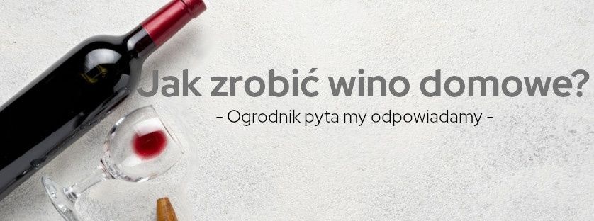 Jak zrobić wino domowe - Sklepogrodniczy.pl