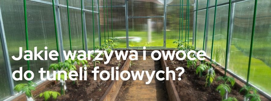 Jakie warzywa i owoce do tuneli foliowych? | Blog Sklepogrodniczy.pl