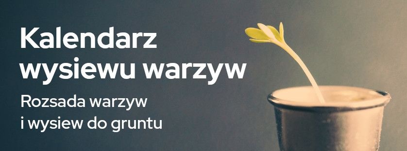 Kalendarz wysiewu warzyw. Rozsada warzyw i wysiew do gruntu | Blog Sklepogrodniczy.pl