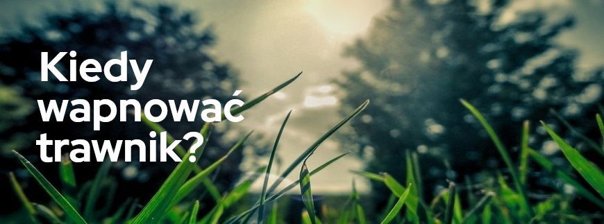 Kiedy wapnować trawnik? | Blog Sklepogrodniczy.pl