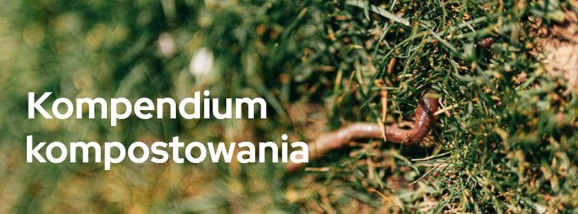 Kompendium kompostowania, czyli kiedy założyć kompostownik i jaki wybrać? | Blog Sklepogrodniczy.pl