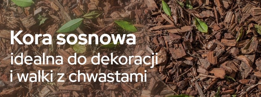 Kora sosnowa do ogrodu – ściółkowanie, walka z chwastami i dekoracja| Blog Sklepogrodniczy.pl