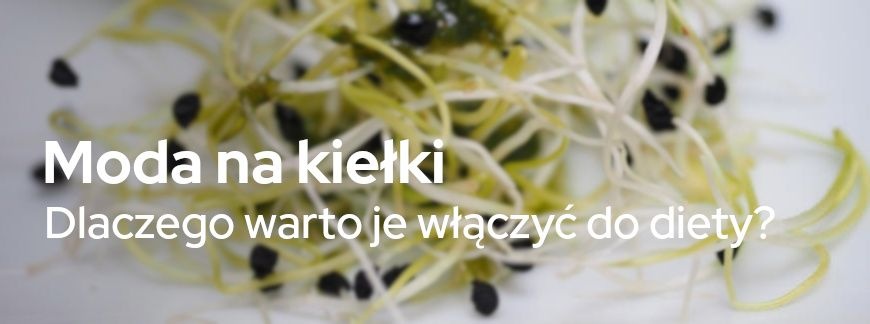 Moda na kiełki – dlaczego warto je włączyć do diety i jak wybrać domową kiełkownicę? | Blog Sklepogrodniczy.pl