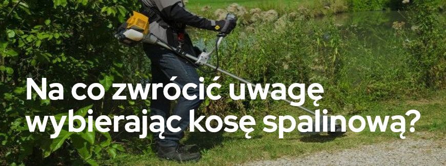 Na co zwrócić uwagę wybierając kosę spalinową? | Sklepogrodniczy.pl