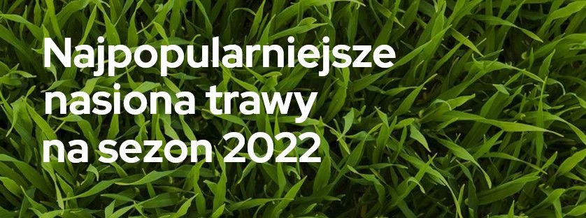 Najpopularniejsze nasiona trawy na sezon 2022 | Blog Sklepogrodniczy.pl