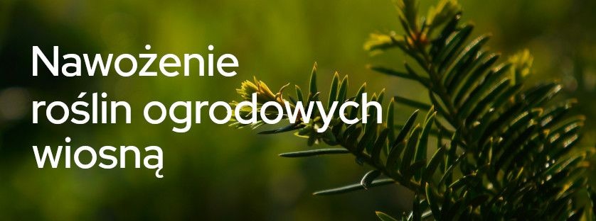 Nawożenie roślin ogrodowych wiosną |  Blog Sklepogrodniczy.pl