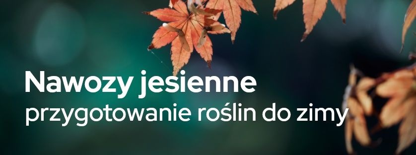 Nawozy jesienne - przygotowanie roślin do zimy | Blog Sklepogrodniczy.pl