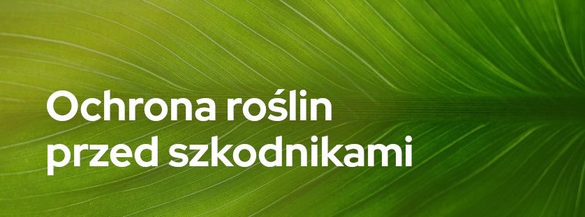 Ochrona roślin przed szkodnikami | Blog Sklepogrodniczy.pl
