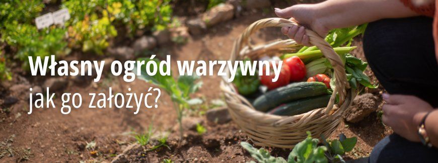 Własny ogród warzywny - jak go założyć?