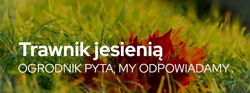 Ogrodnik pyta my odpowiadamy. Trawnik jesienią | Blog Sklepogrodniczy.pl