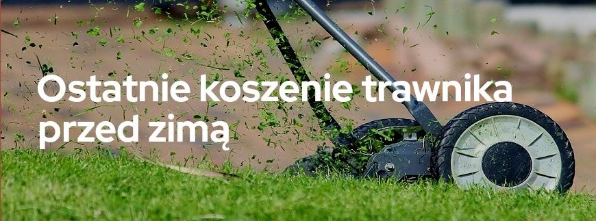 Ostatnie koszenie trawnika przed zimą | Blog Sklepogrodniczy.pl
